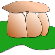WSKAZÓWKI OGÓLNE